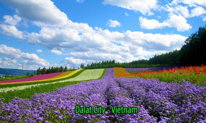 Dalat Hotels